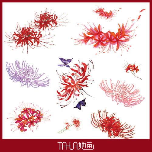 她画 彼岸花锁骨纹身贴 曼珠沙华图案刺青性感防水女持久半永久