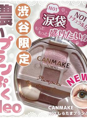 限定新色N01!日本canmake井田卧蚕泪袋专用眼影四色盘