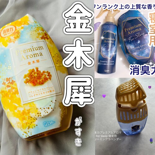 ST小鸡除臭力高級香薰入口客厅房间空气清新剂放置型400ml
