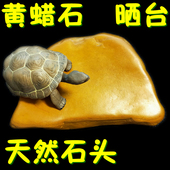 天然黄蜡石乌龟晒台小石头晒龟原石乌龟缸造景爬坡晒背发色石块4