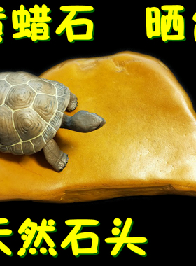 天然黄蜡石乌龟晒台小石头晒龟原石乌龟缸造景爬坡晒背发色石块4