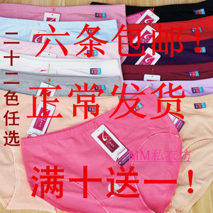 满6条包邮紫红天5070莱卡纯棉女士三角内裤中腰弹力棉底裤22色