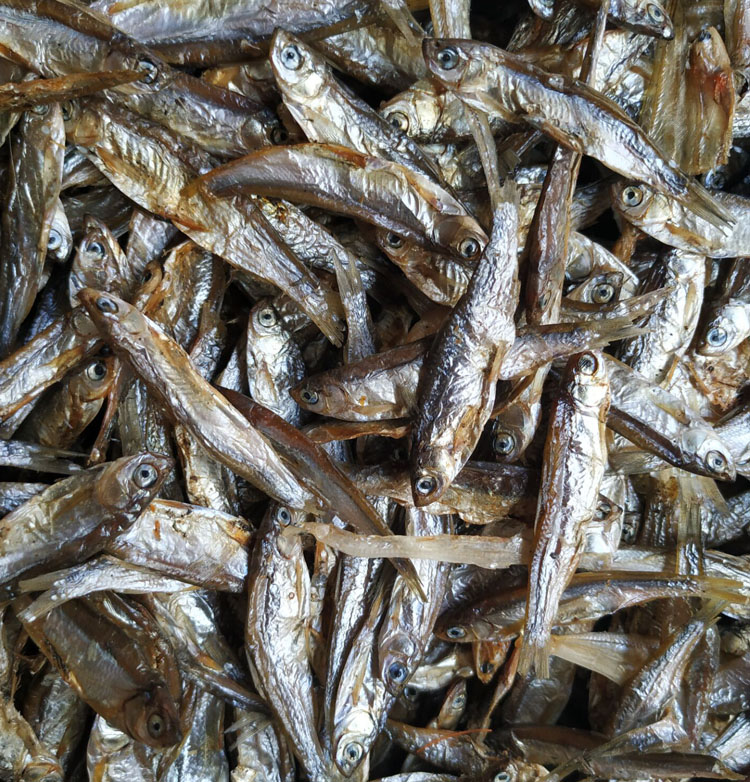 宠物猫粮仓鼠粮食小鱼干乌龟粮食乌龟饲料巴西龟饲料龟粮狗粮鱼干