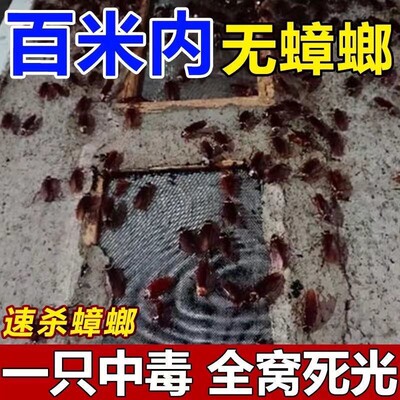 蟑螂药膏诱饵剂一次全窝绝杀家用强力锅端无毒灭蟑螂神器2023新款