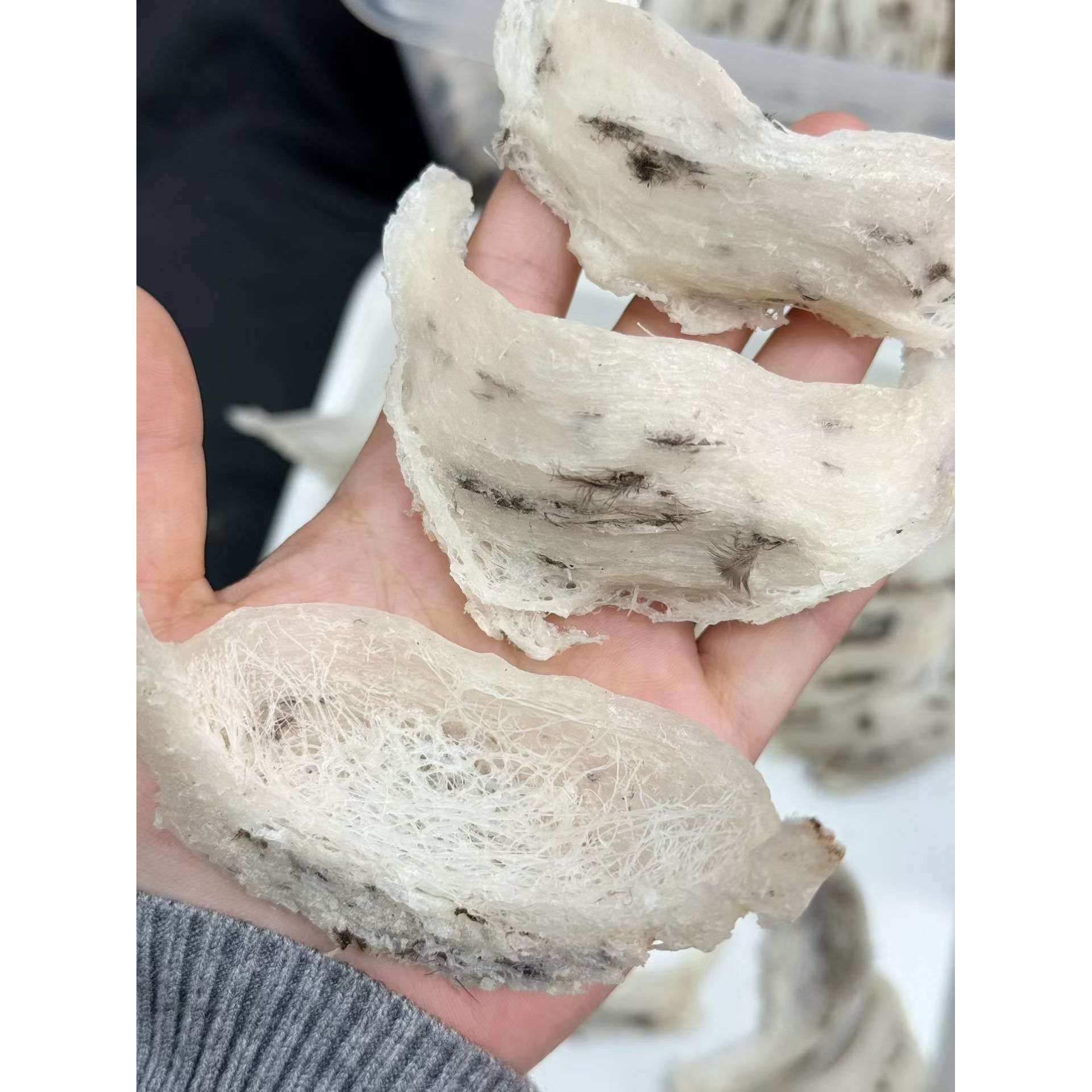 马来西亚正品孕妇金丝滋补轻毛官燕毛燕窝船盏足干50克388元包邮