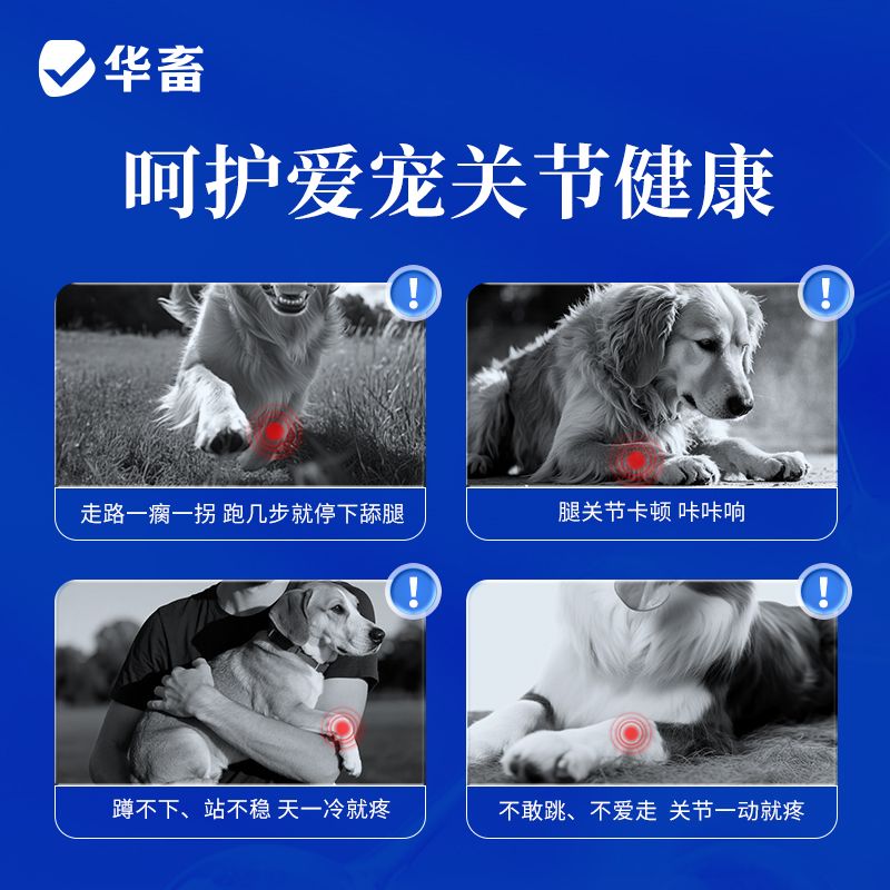 鲨鱼软骨素狗狗猫咪预防缓解关节狗特色保健品