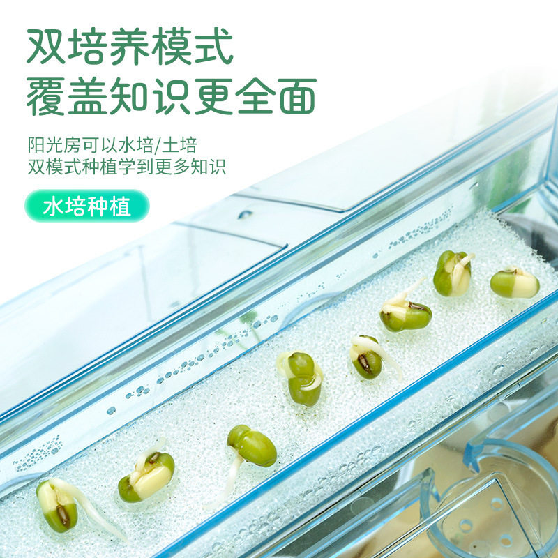 学优马阳光房种植DIY种菜种花观察科学小实验套装幼儿园种菜盆6岁