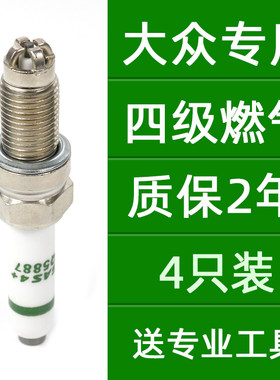 四级油气两用火炬桑塔纳四只装