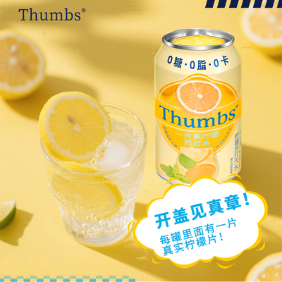一片真柠檬苏打水310ml*6罐装