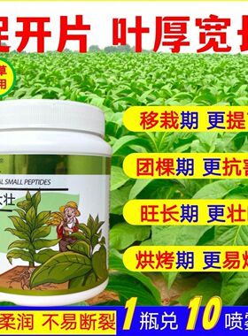 烟农笑叶大壮叶面肥移栽生根壮苗抗病促生长叶片柔软拉长增厚开片