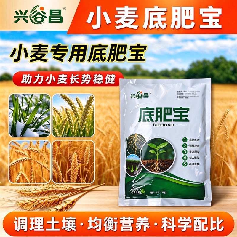 兴谷昌小麦底肥宝小麦粒粒饱生根壮苗籽粒饱满小麦长势稳健丰产