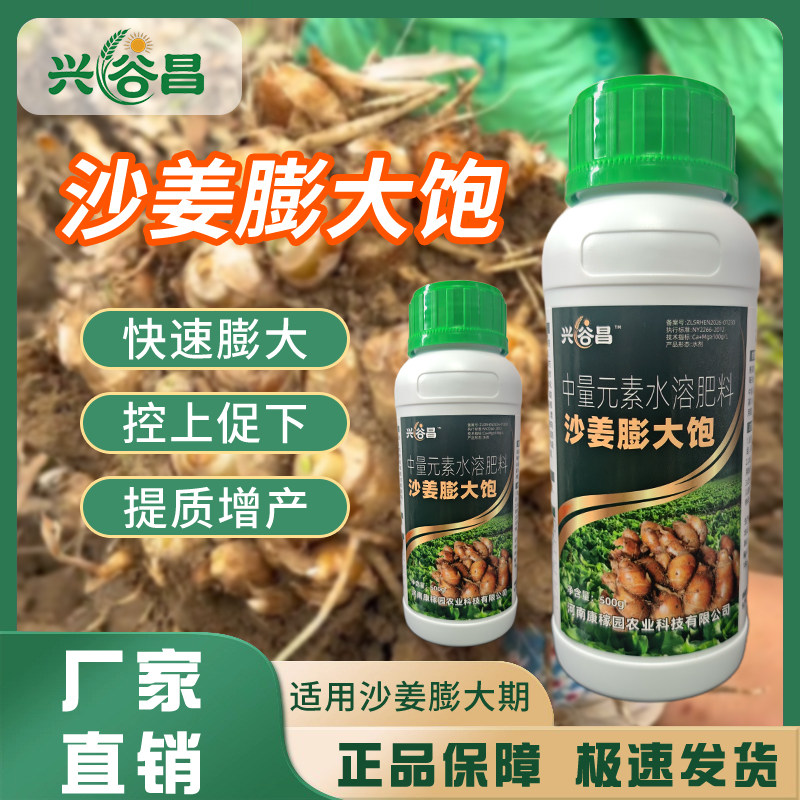 根茎膨大素沙姜魔芋花生山药土豆红薯大蒜姜药材作物通用膨大增产