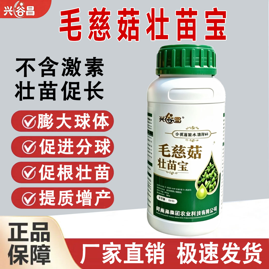 壮苗促长丨促进分球丨膨大球体