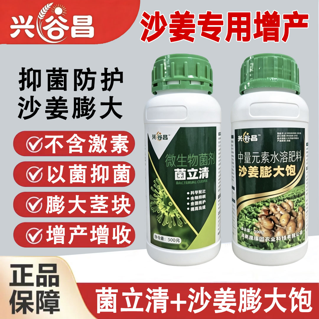 沙姜防病膨大专用组合肥抑菌防护膨大茎块爆姜提升抗逆增强免疫