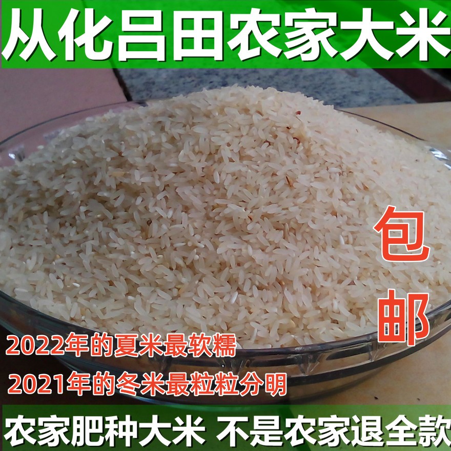 广东从化农家肥自种大米非转基因农尖米无抛光自产自销2022年新米
