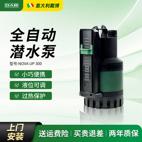 dab意大利戴博全自动景观水泵