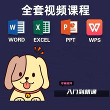 Excel/Word/PPT零基础到精通 视频教程+案例实操办公软件学习宝典