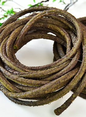 仿真藤蔓造景树藤枯藤条塑料树枝干植物森系装饰绿植热带雨林墙壁