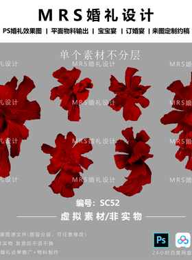 MRS大型红色纸花设计手绘素材SC52褶皱纸婚礼纸花道具PS素材