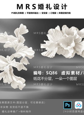 【MRS】婚礼大型白色纸花设计SQ86 褶皱纸艺道具效果图PS