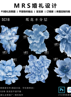 MRS蓝色大型纸花设计素材褶皱纸婚礼纸花道具ps手绘