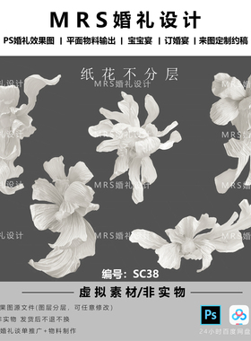 白色手绘纸花素材SC38纸雕褶皱纸婚礼大型纸花道具PS素材