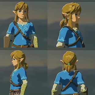 帝王动漫  旷野之息 塞尔达传说 荒野之息 林克 cos假发定制