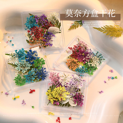 日系干花美甲爆款小清新满天星小碎花真花饰品小雏菊DIY美甲配饰