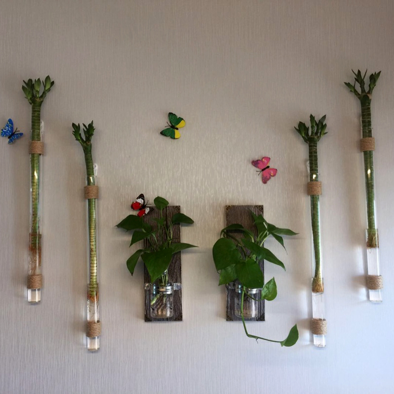 墙面客厅餐厅水培富贵竹玻璃田园