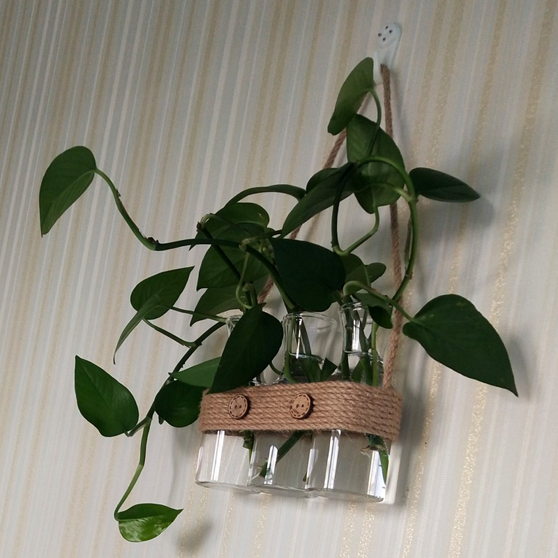 小清新创意手工麻绳水培绿萝玻璃花瓶家居室内墙面装饰工艺吊挂件
