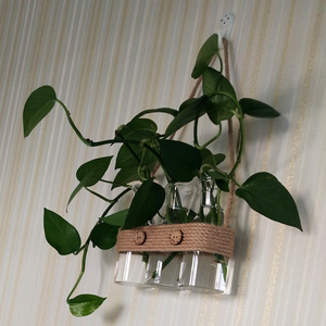 小清新创意手工麻绳水培绿萝玻璃花瓶家居室内墙面装饰工艺吊挂件