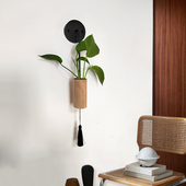 创意壁挂水培植物花瓶器皿家居餐厅民宿挂墙装 饰木质工艺花器简约
