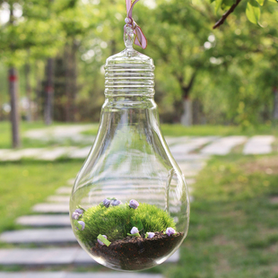 创意灯泡微景观生态瓶透明玻璃花瓶多肉植物盆栽花器室内展会吊瓶