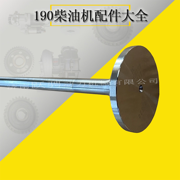 601t.03.14 h16v190zlt1-2 jdec gas engine exhaust vavle排气门