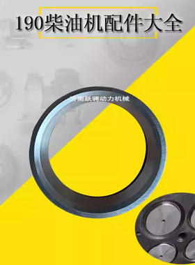 济柴L8190ZLC H12V190ZL 601.03.10.04A L6190ZLCD-1进气门口座圈