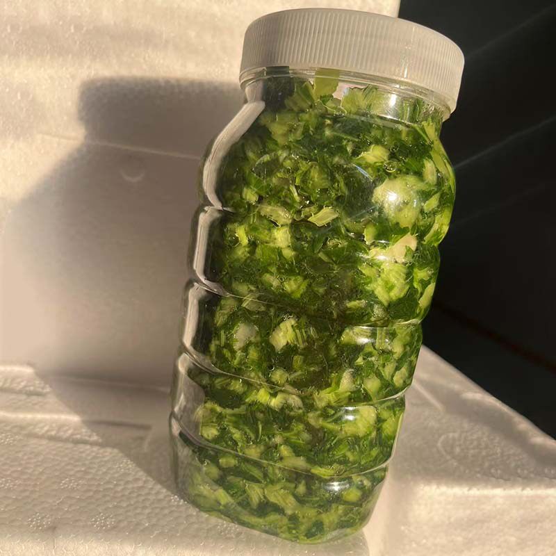 新鲜腌制青雪菜农家自制咸菜