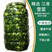 绿色腌制雪里红新鲜雪菜农家自制青雪里蕻辣菜下饭菜无色素防腐剂