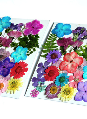 干花混装diy材料包滴胶花材贴画相框画