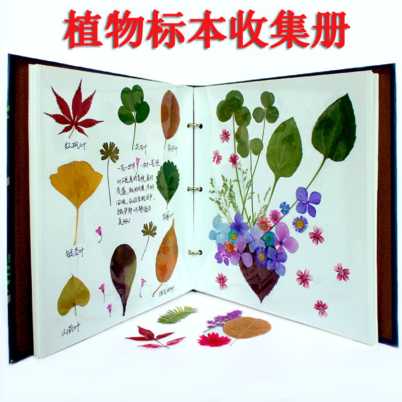 标本册粘贴式覆膜植物标本树叶干花收集册干花压花材料diy相册