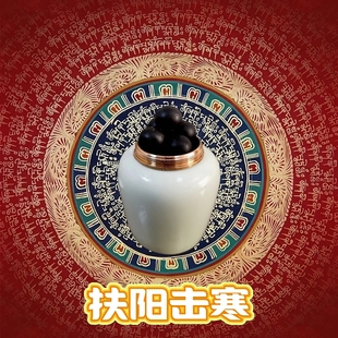 扶陽排寒引火下行上火下寒手腳冰冷腿寒腹寒回陽救逆肚臍貼足底貼