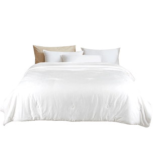 帝豪家纺 天丝蚕丝被春秋被空调被双人竹棉四季通用春秋被