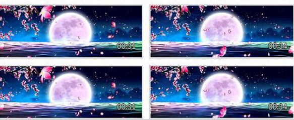 精致大气月亮挂在海平面唯美海面花瓣飘落效果视频素材