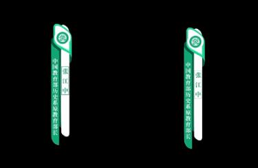 可改颜色电视综艺医疗企业领导时尚竖版人名职务字幕条动画ae模板