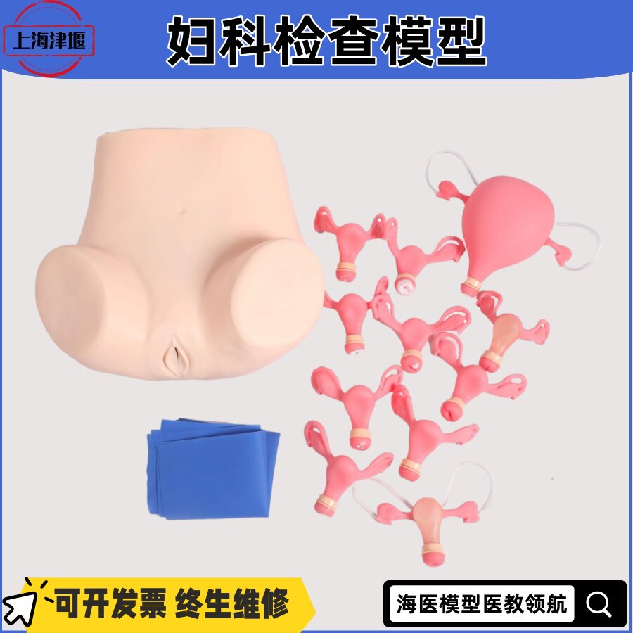 高级妇科检查模型异常子宫触诊妇科双合诊三合诊阴道窥器和阴道镜