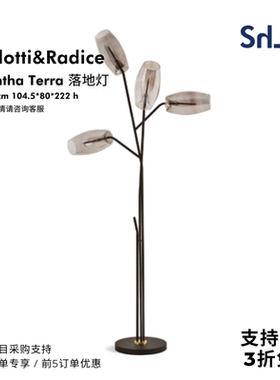 清仓深圳发意大利Gallotti Radice Diantha Terra可调光LED落地灯