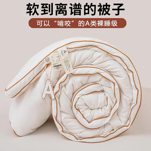 A类立体简约抑菌纤维冬被子