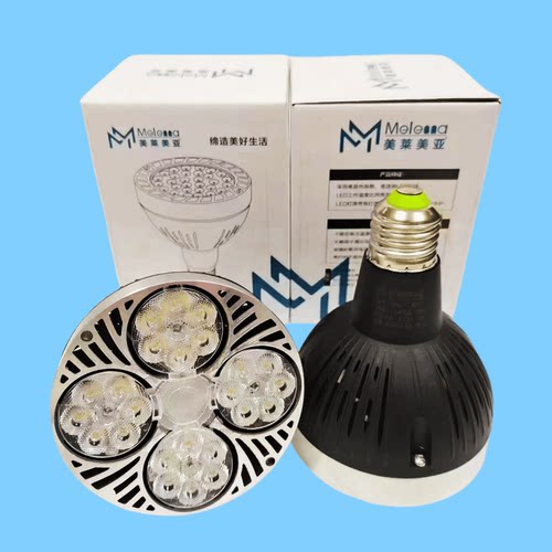 led灯泡帕泡P30轨道灯光源E27