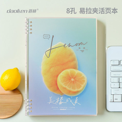 2026新品道林活页本简约小清新不硌手8孔塑料夹学生笔记本可拆卸替换内页课堂记事本练习本通用26孔芯