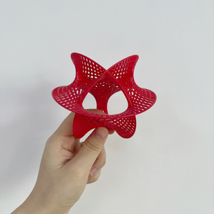 包邮卡拉比-丘流形空间模型拓扑学超弦理论 多维空间几何数学物理