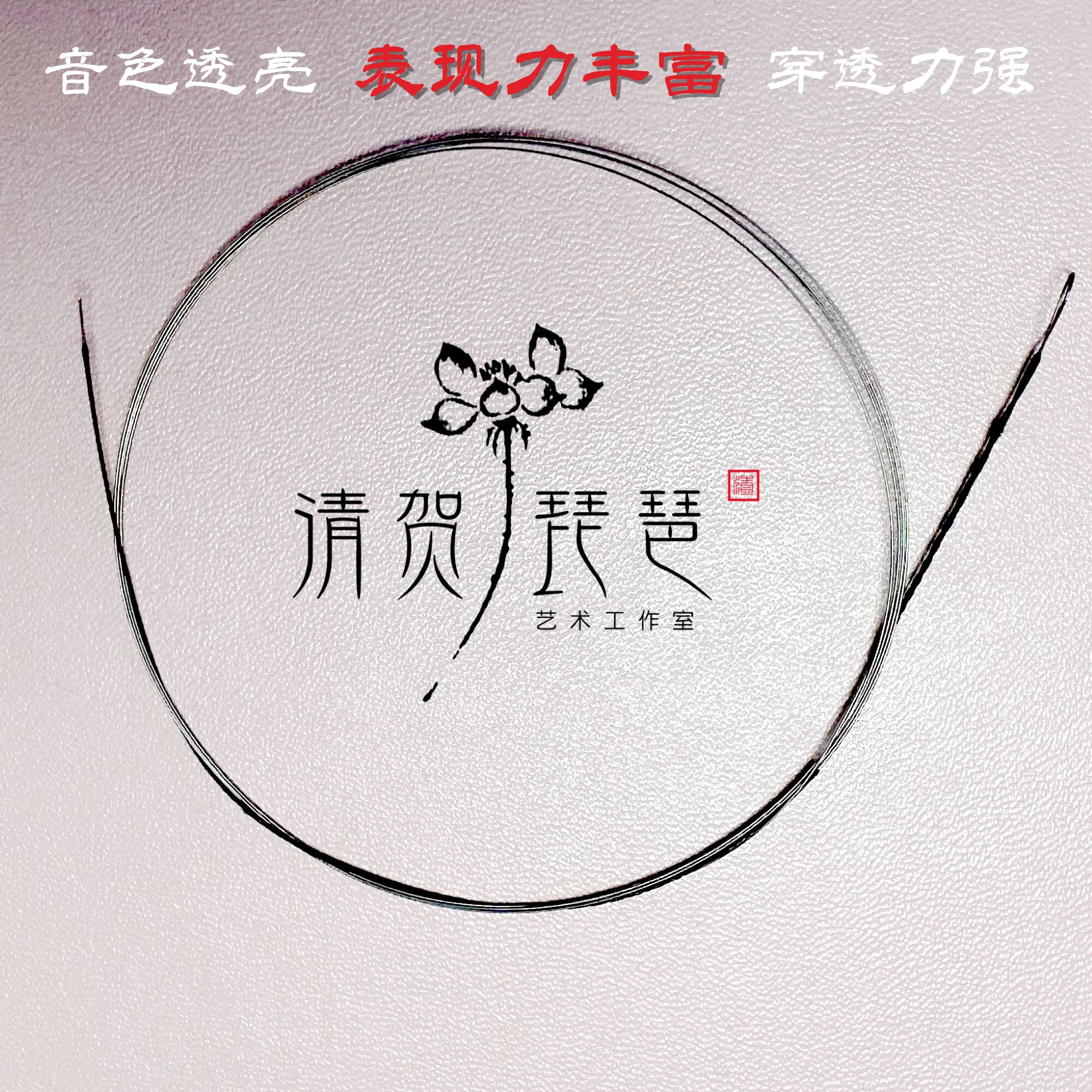 定制专业级演奏琵琶琴弦琴弦
